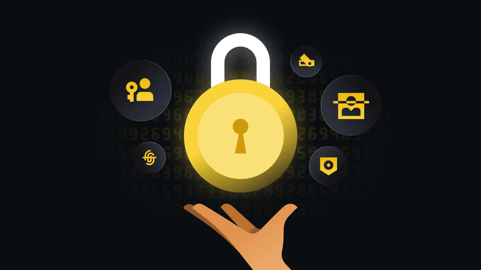 多链资产管理专家